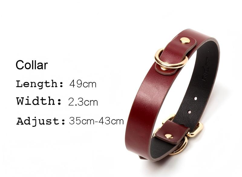 Totally B'Dage - Vegan Leather BDSM Set – Luxury Wine Edition