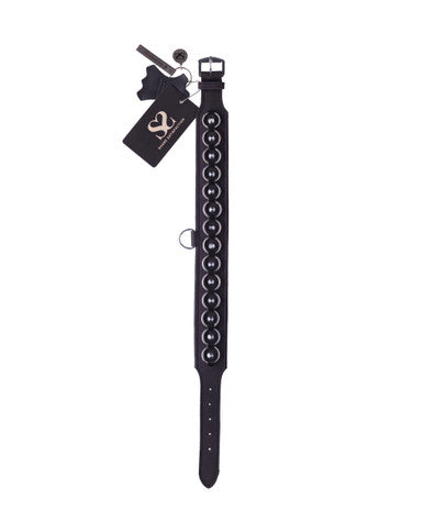 245246 - Bound X Spiked Collar