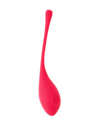 251602 - Eyden Vibrating Kegel Egg